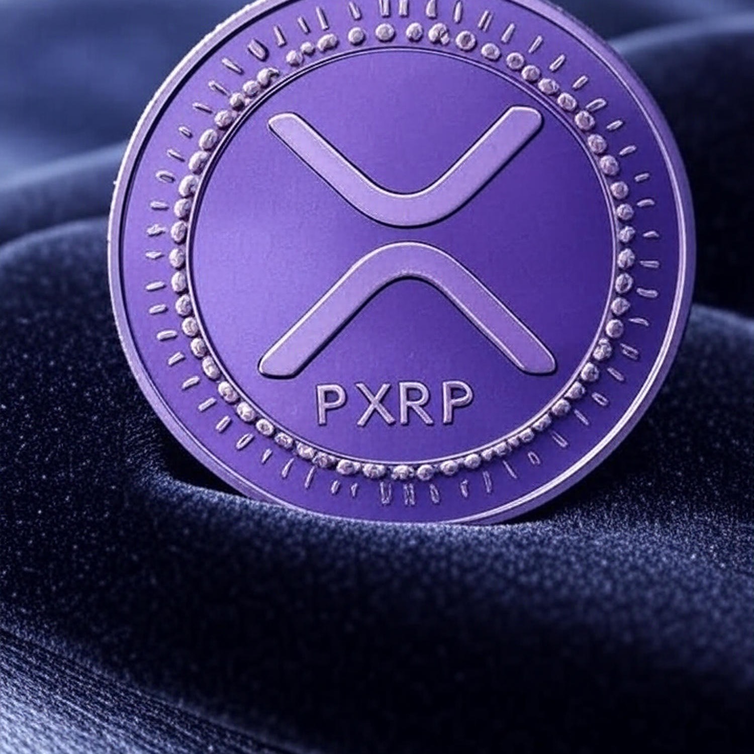 PurXrp Details