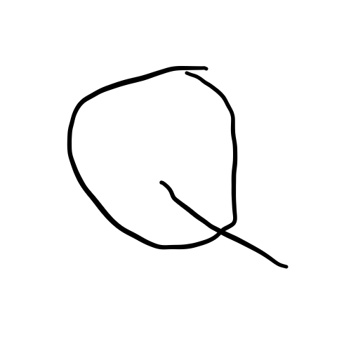 QaNoN Details